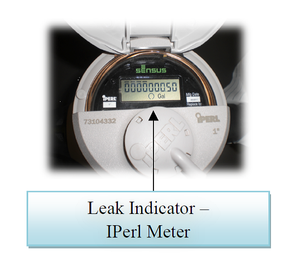 IPearl Meter Leak Indicator